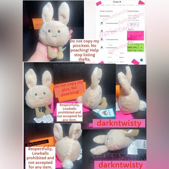 ORIGINAL OWNER BNWT JELLYCAT AMUSEABEAN BUNNY AUTH RECEIPT NEVER SECONDHAND! - Picture 10 of 13